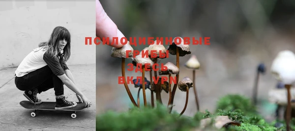 apvp Михайловка